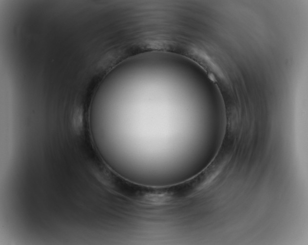 X0000092320213200709211335