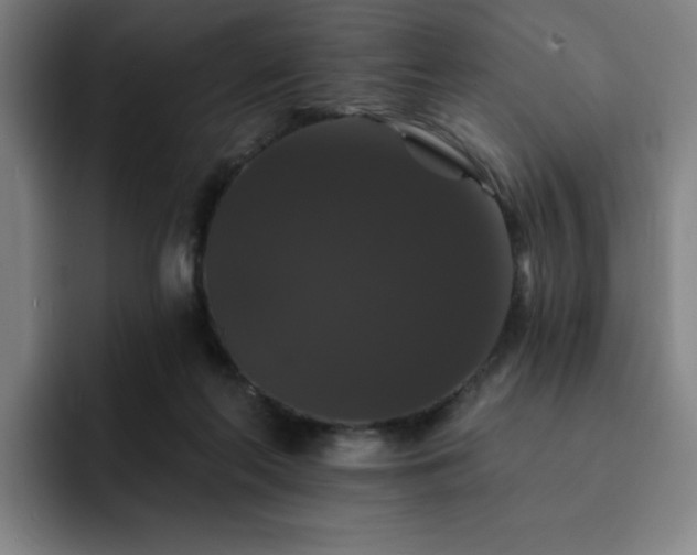 X0000092320214200709211335
