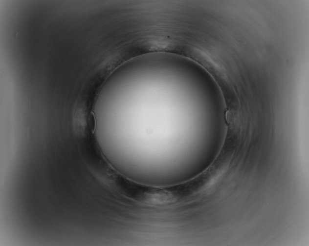 X0000092320215200709211335