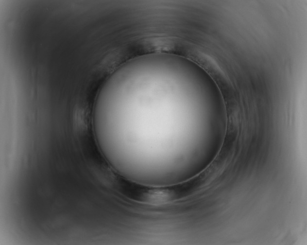 X0000092320218200709211335