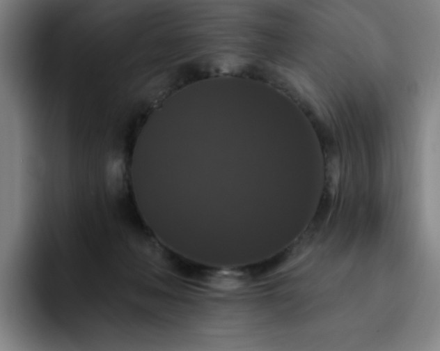 X0000092320222200709211335