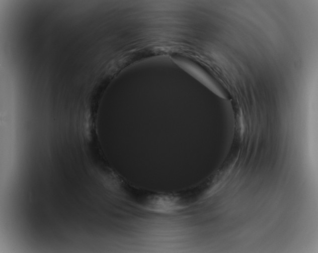 X0000092320223200709211335