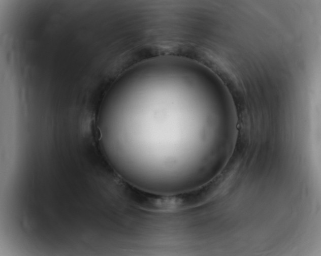 X0000092320225200709211335