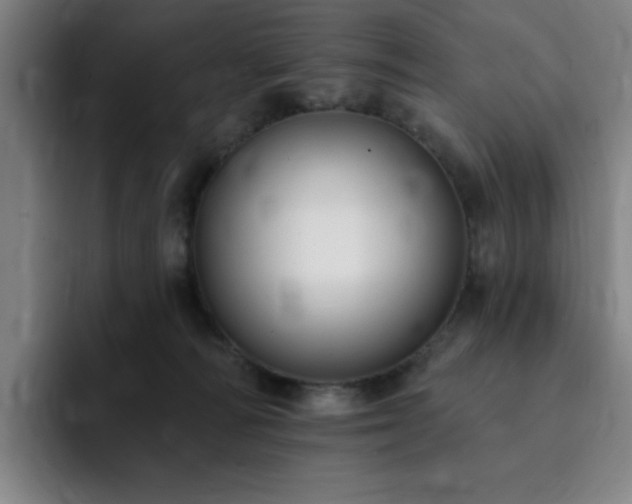 X0000092320226200709211335