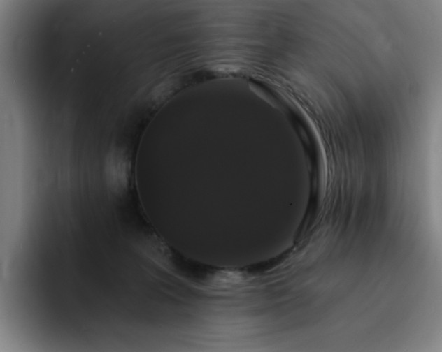 X0000092320227200709211335