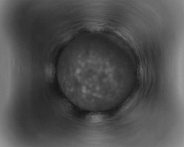 X0000092320228200709211335
