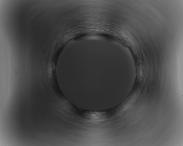 X0000092320229200709211335