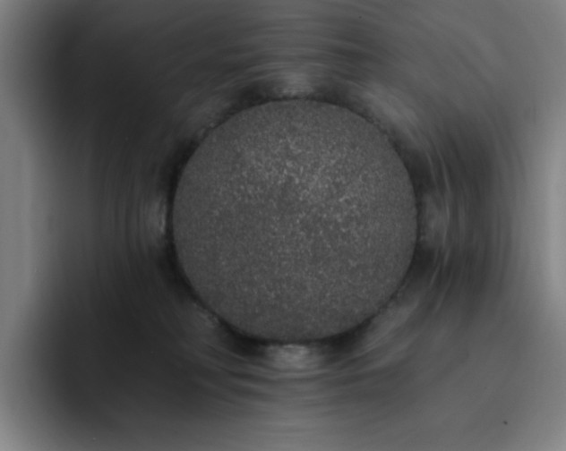 X0000092320230200709211335