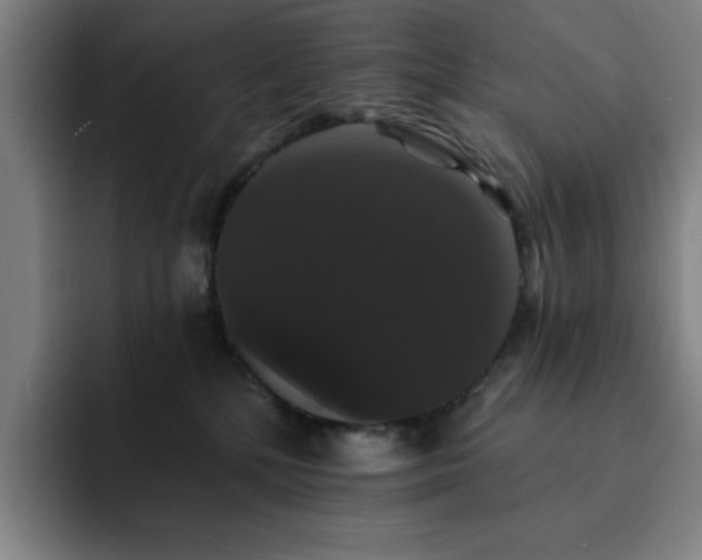 X0000092320232200709211335