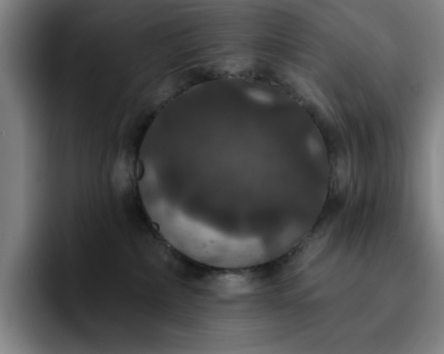 X0000092320236200709211335