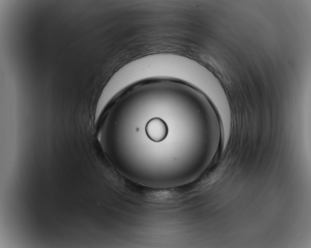 X0000092320237200709211335