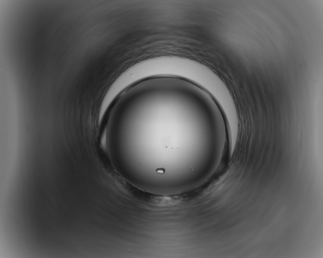 X0000092320239200709211335