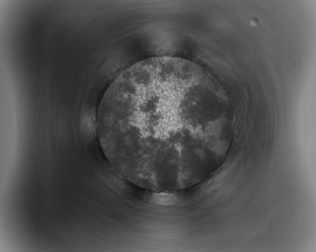 X0000092320240200709211335