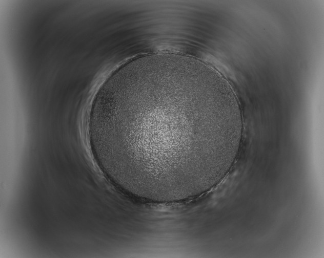 X0000092320241200709211334