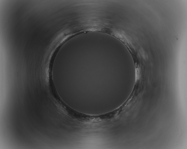 X0000092320243200709211334
