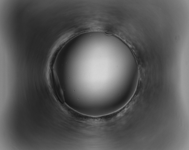 X0000092320245200709211334