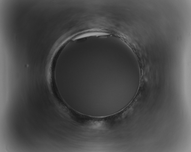 X0000092320247200709211334