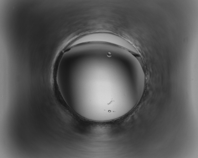 X0000092320248200709211334