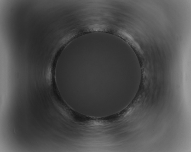 X0000092320250200709211334