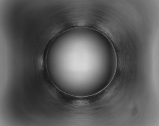 X0000092320251200709211334