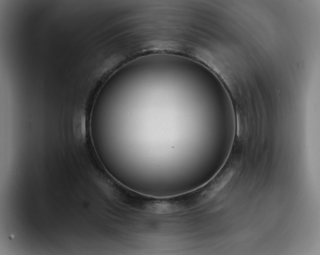 X0000092320253200709211334