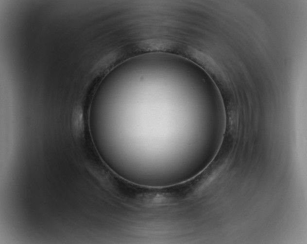 X0000092320254200709211334