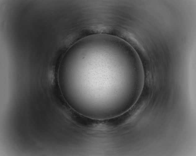 X0000092320259200709211334