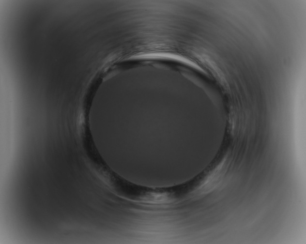 X0000092320260200709211334