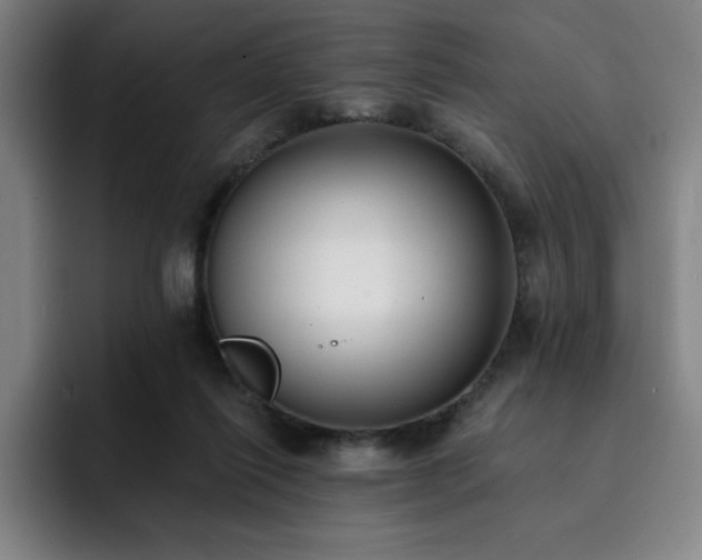 X0000092320262200709211334
