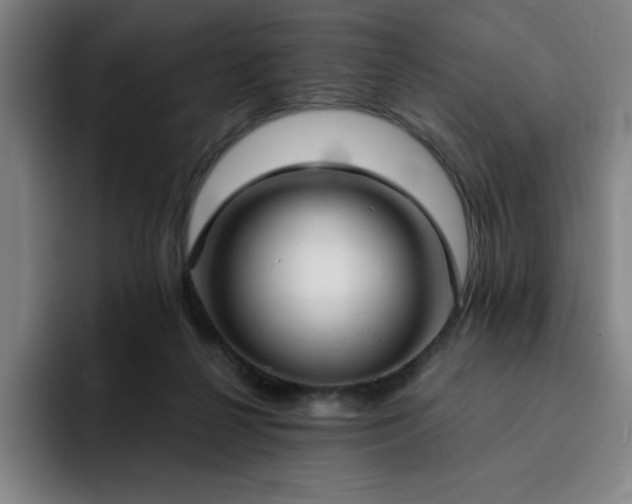 X0000092320264200709211335