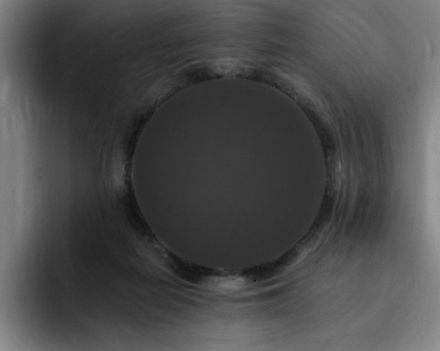 X0000092320266200709211335