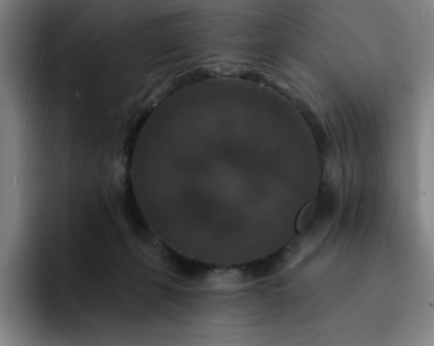 X0000092320271200709211335