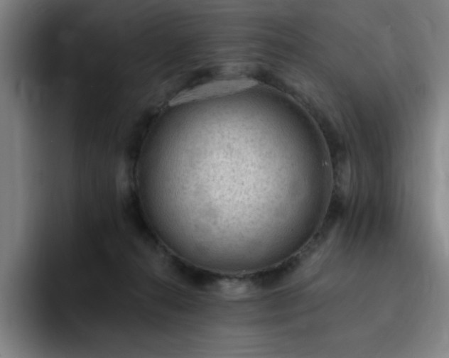 X0000092320272200709211335