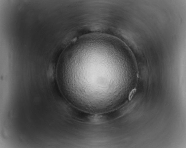 X0000092320273200709211335