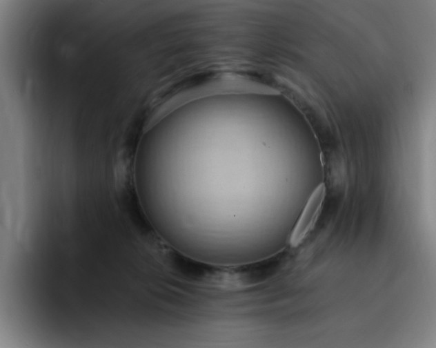 X0000092320276200709211335