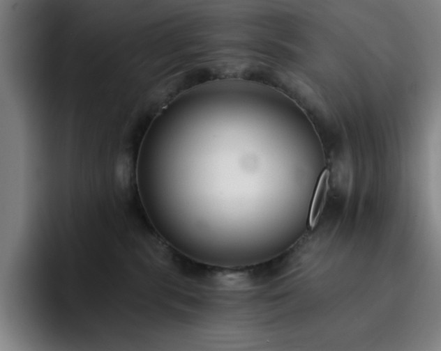 X0000092320283200709211335