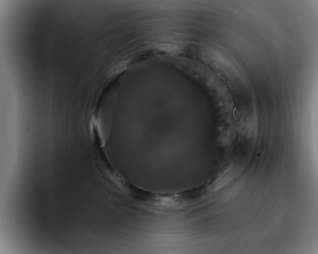X0000092320285200709211335