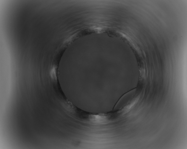 X0000092320286200709211335