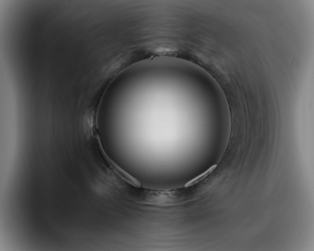 X0000092320288200709211335