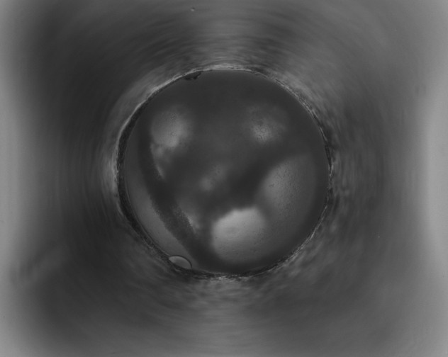 X0000092320290200709211334
