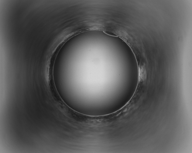 X0000092320291200709211334