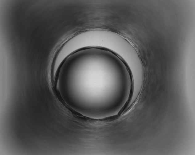 X0000092320293200709211334