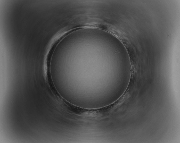 X0000092320294200709211334
