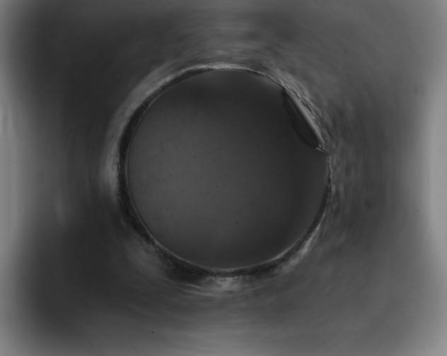 X0000092320295200709211334