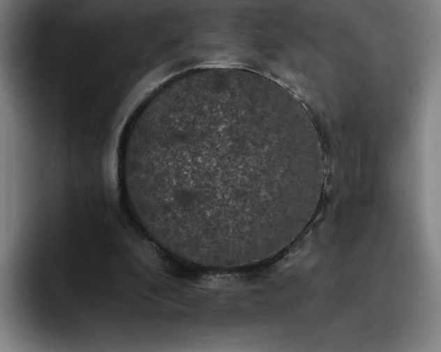 X0000092320296200709211334
