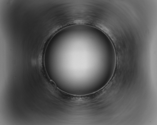 X0000092320297200709211334