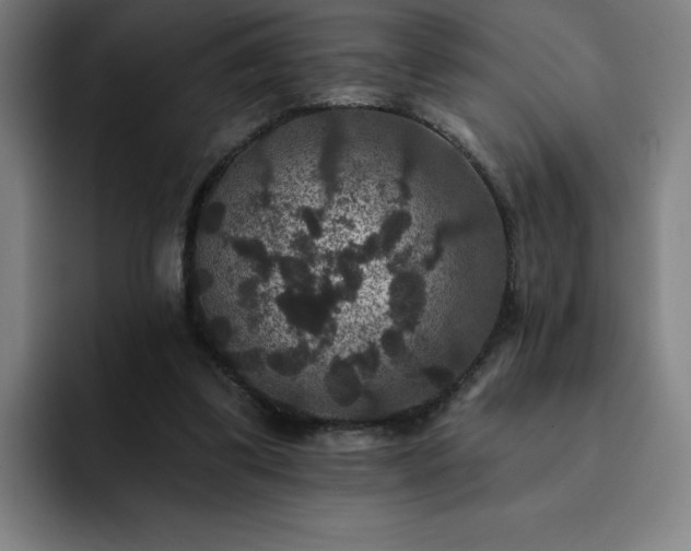 X0000092320299200709211334