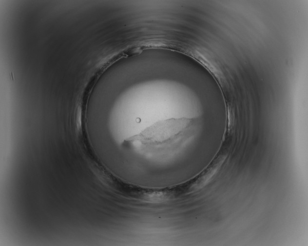 X0000092320301200709211334