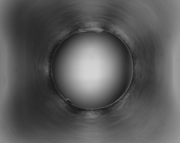 X0000092320305200709211334