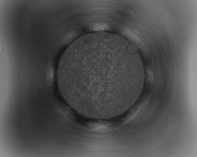 X0000092320308200709211334